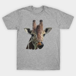 Funny Giraffe - Africa T-Shirt